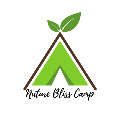 Green Brown Simple Eco Camp Logo (2)